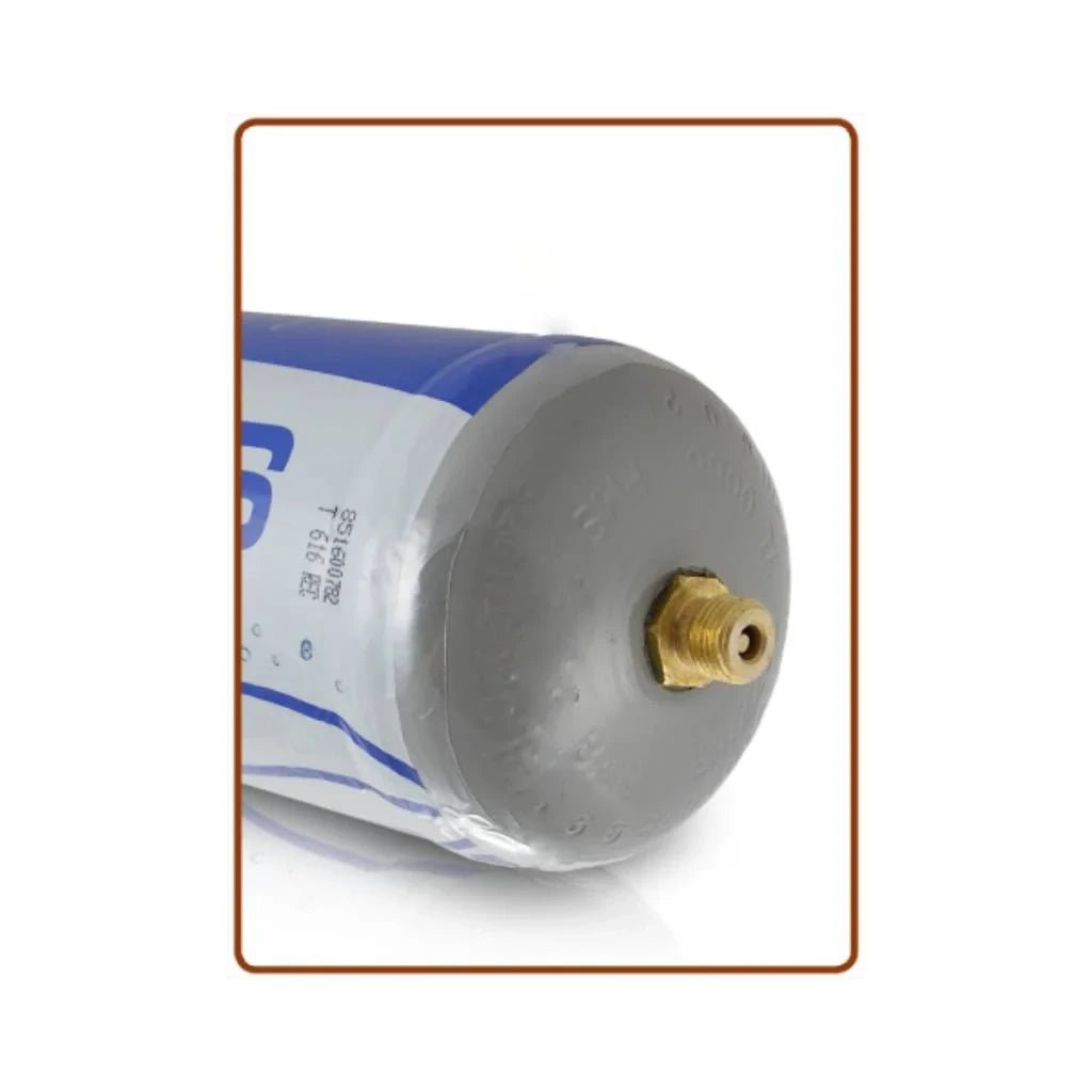 1 Bombola CO2 monouso E290 per refrigeratori acqua 600gr