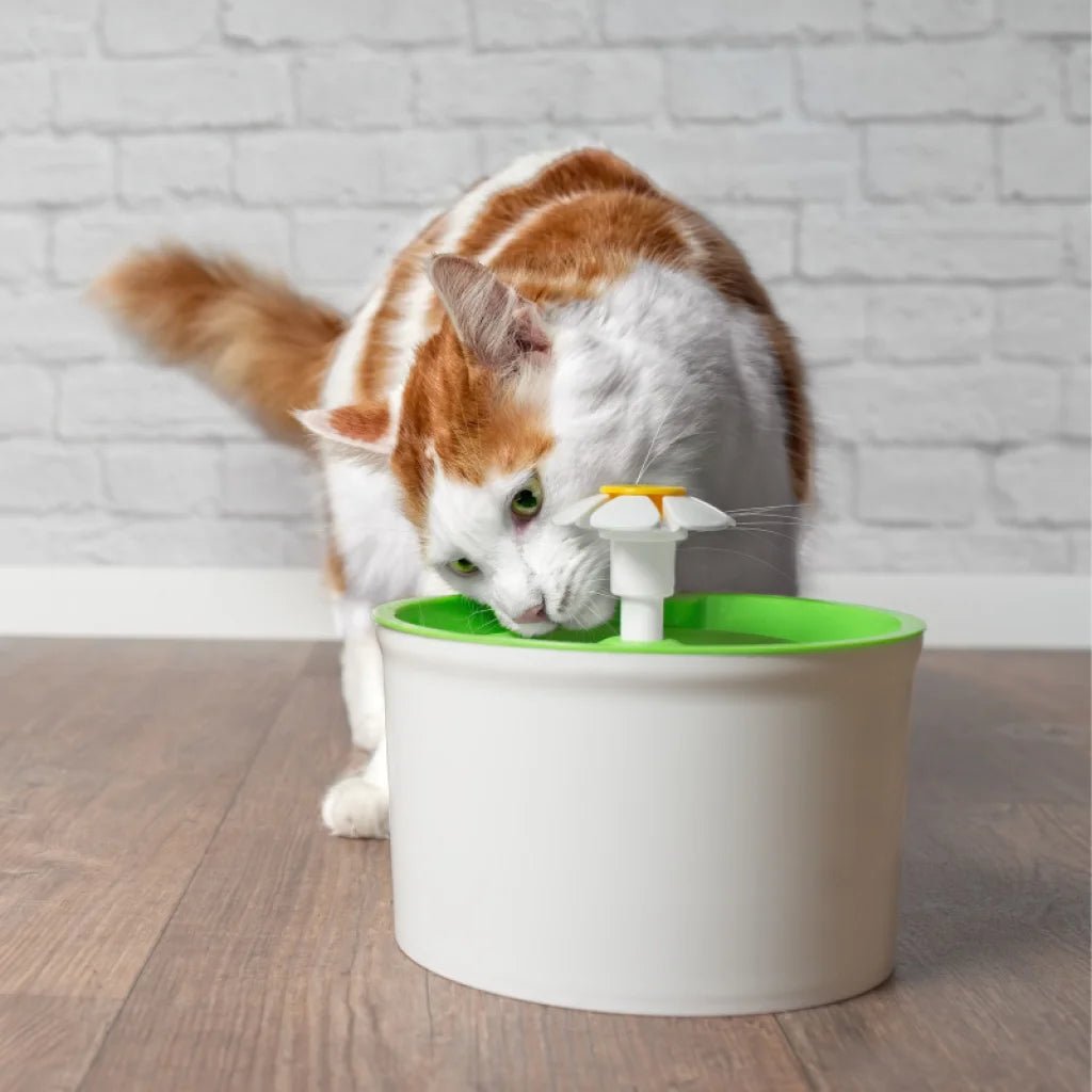 Depuratore Acqua per Animali - MIA Pet 500