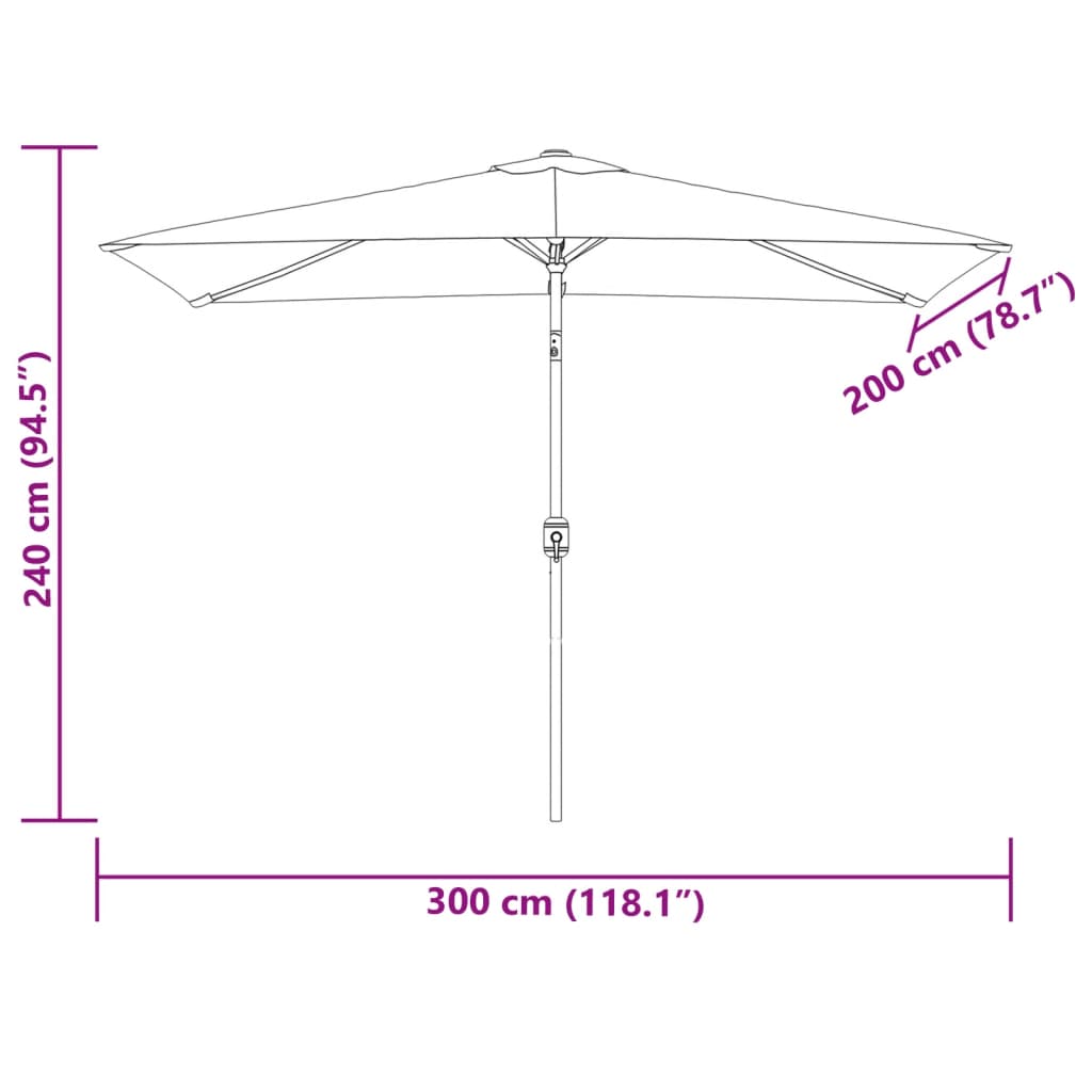 Ombrellone da Giardino con Palo in Metallo 300x200 cm Nero