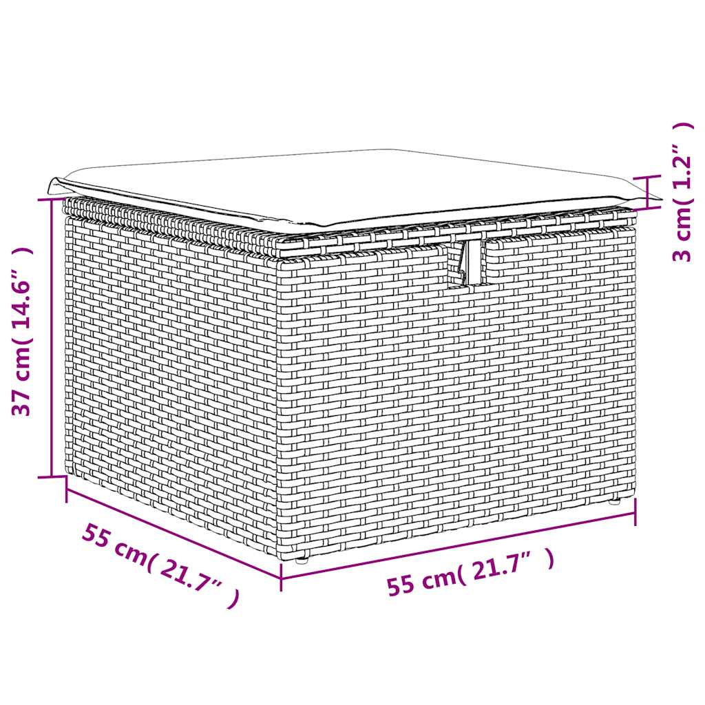 Divano Giardino 2pz con Cuscini Grigio Chiaro Polyrattan Acacia